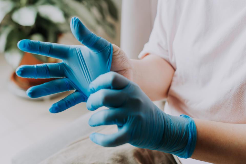 A person wearing a light-colored shirt is putting on blue medical gloves with a plant in the background