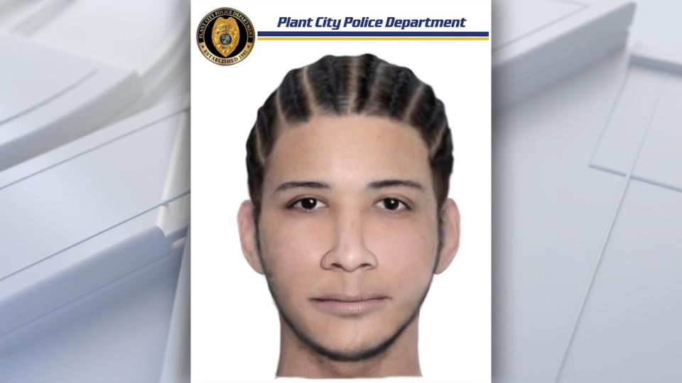 <div>Composite sketch of suspect in deadly road rage shooting on I-4. Courtesy: Plant City Police Department.</div>