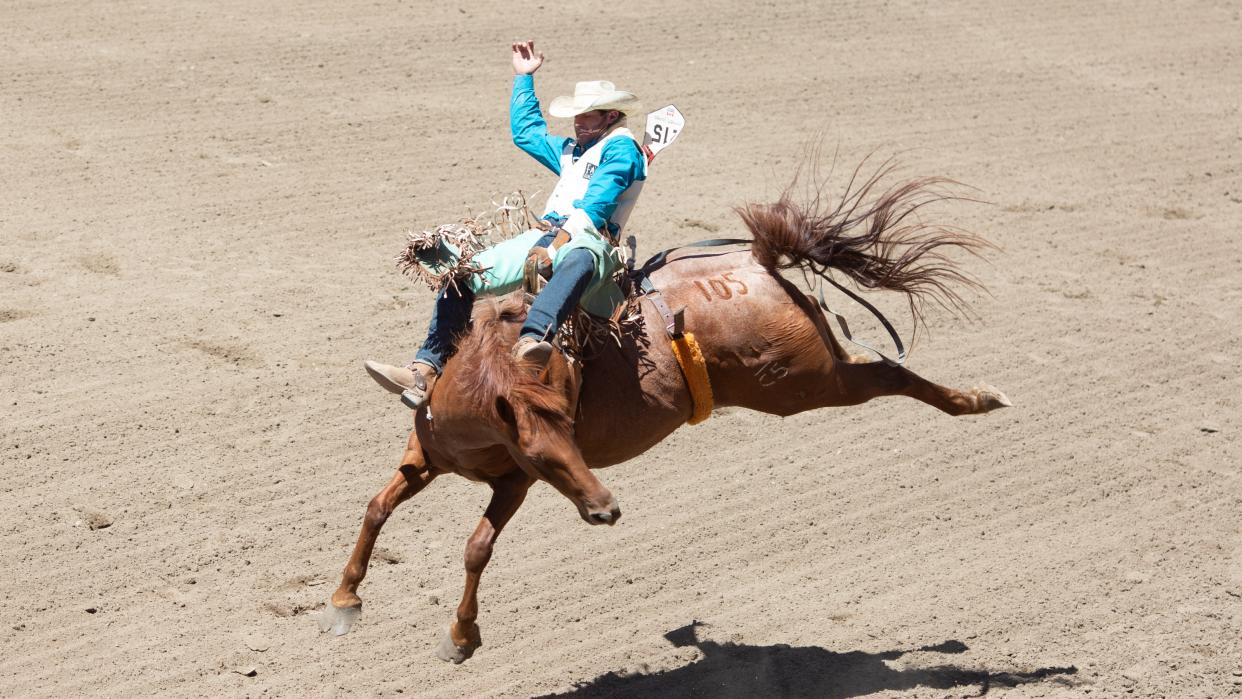  A competitor rides a horse during the The Run For A Million reigning competition in Las Vegas  