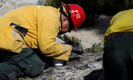 An investigator from the United States Forest Service inspects the fire origin spot during the Wilson Fire near Mount Wilson in the Angeles National Forest in Los Angeles, California, U.S. October 17, 2017. REUTERS/Mario Anzuoni