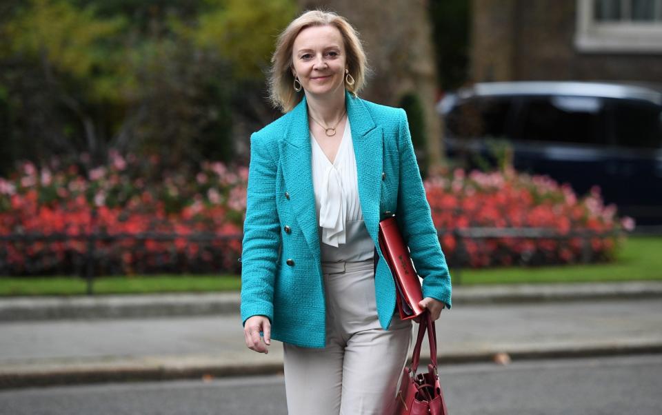 Liz Truss 