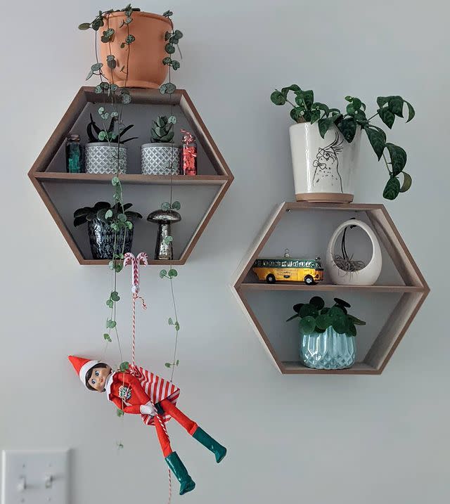 <p>Even your plants (artificial on this occasion) can become the perfect accessory.</p><p><a href="https://www.instagram.com/p/CIU_cltgUs7/" rel="nofollow noopener" target="_blank" data-ylk="slk:See the original post on Instagram;elm:context_link;itc:0;sec:content-canvas" class="link ">See the original post on Instagram</a></p>