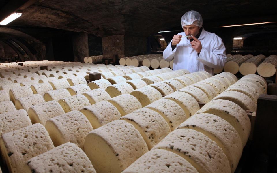 A worker smells a cheese as it matures in a cellar in Roquefort, southwestern France