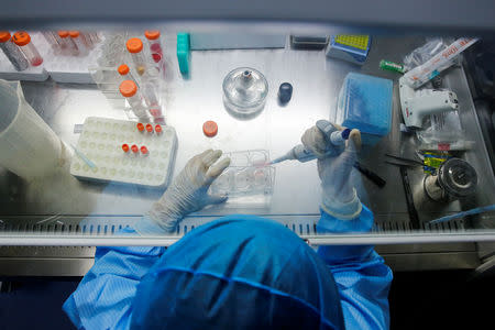 FILE PHOTO: A technician works with genome samples at a lab of the biotech company Sinogene that specialises in dog cloning, in Beijing, China June 15, 2018. REUTERS/Thomas Peter/File Photo