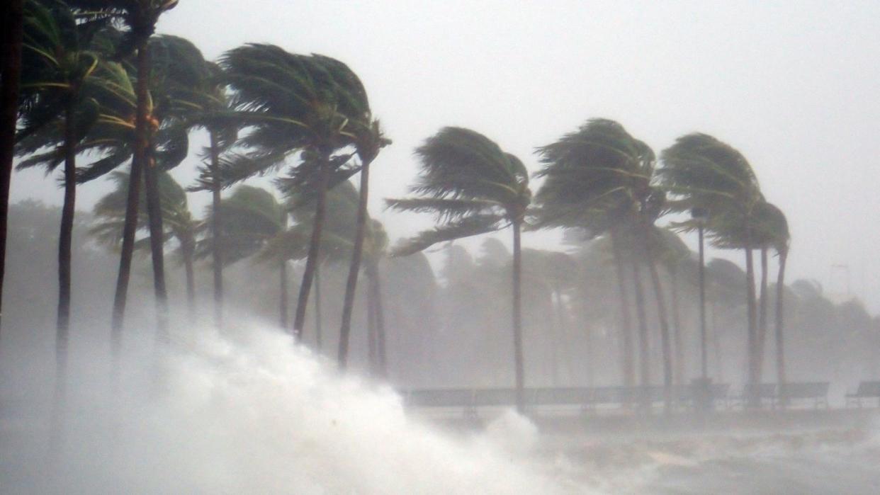 hurricane irma strikes south florida