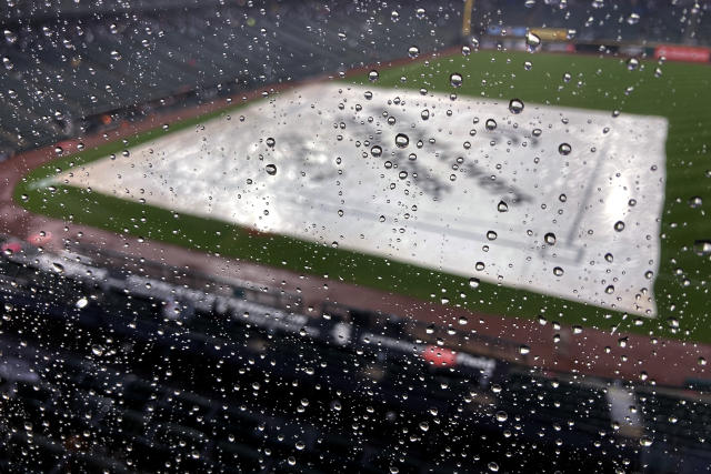 Tim Anderson homered and drove in three runs in the rain tonight. Eloy  Jiménez and Luis Robert also connected.