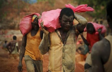 Gold prospectors carry bags of rock and earth to be sorted at a gold mine near the village of Gamina in western Ivory Coast, March 16, 2015. REUTERS/Luc Gnago