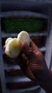 Cool down: After the sliced apples were washed in fresh water for about an hour, they were then put into freezer for 24 hours. (