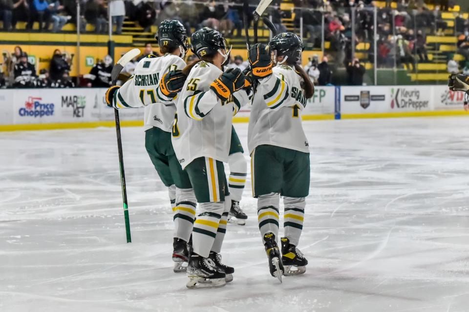 The UVM Catamounts celebrate Theresa Schafzahl's first period goal to jump out to a 1-0 lead during the Catamounts' Hockey East quarterfinal game vs the Providence College Friars on Saturday afternoon at Gutterson Fieldhouse.