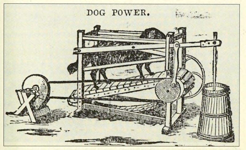 Advertisement from the 1850s showing a butter churn machine powered by a dog - Image: Internet Archive