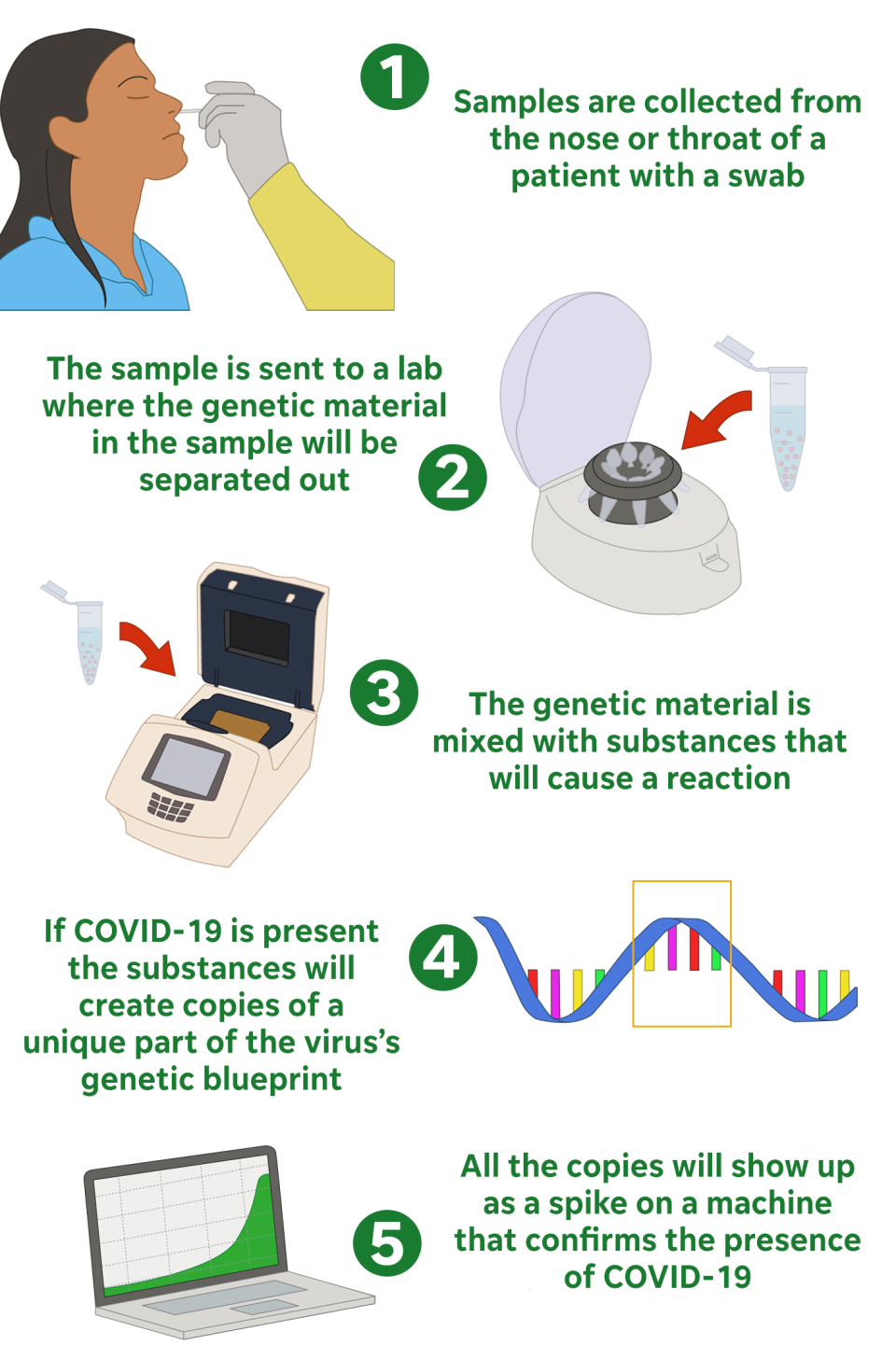 The CDC's COVID-19 test relies on a process that amplifies a unique section of the virus's genetic code in order to alert healthcare officials to the presence of the virus