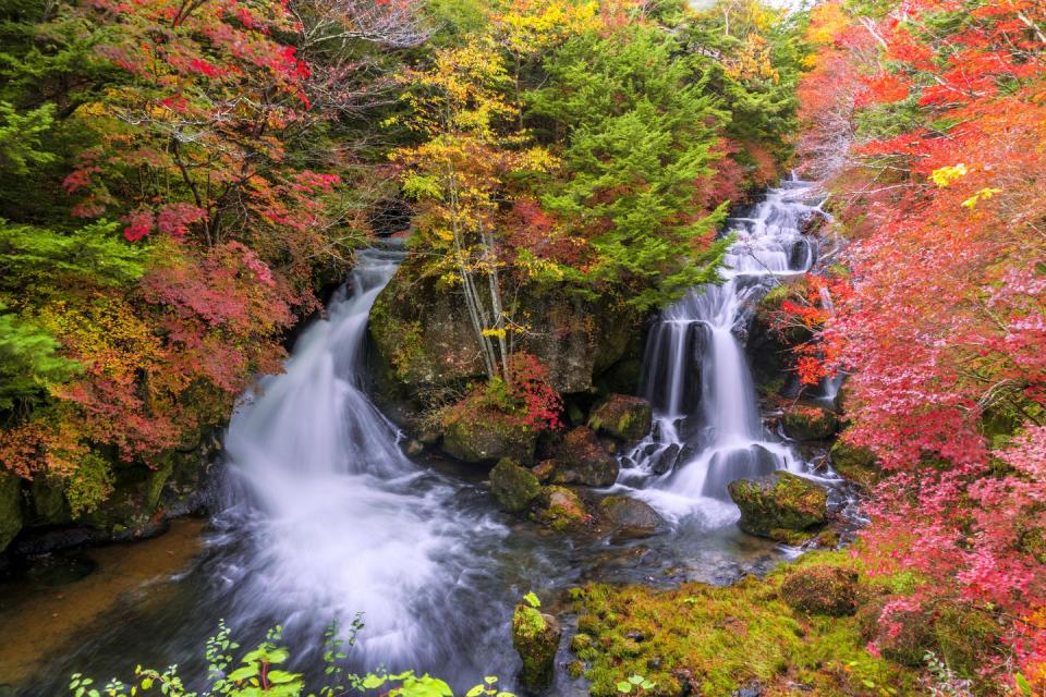 Fall colors depend on how much sugar is in the leaves.