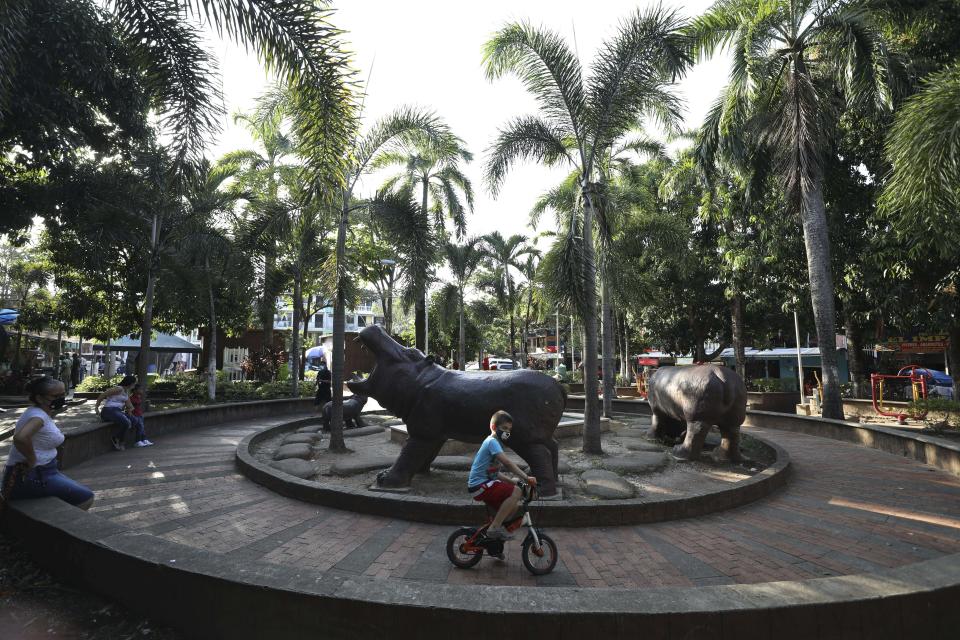 A boy rides his bicycle in a park decorated with hippo statues in Doradal, Colombia, Thursday, Feb. 4, 2021. Pablo Escobar and his Cartel de Medellin are long dead, but the hippos from his personal zoo continue to flourish in tropical countryside and wetlands in and around his former hacienda. (AP Photo/Fernando Vergara)