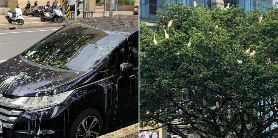 基隆田寮河仁一路昨有民眾目擊1輛黑色轎車竟沾滿鳥屎，慘狀讓他疾呼「車主快來移車」，照片曝光引發網友們熱議！（圖片翻攝FB/基隆人日常）