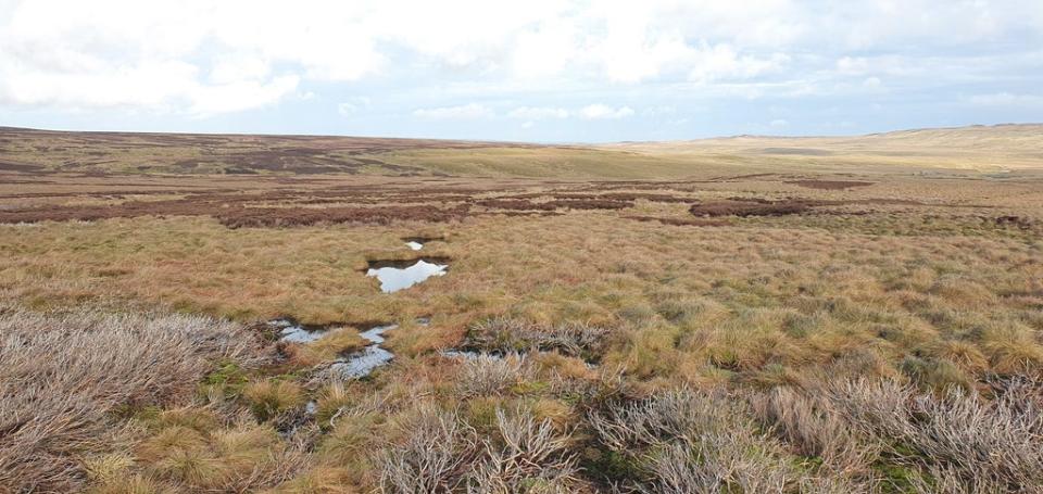 West Arkengarthdale Moor in the Yorkshire Dales, where 1,395 hectares of peatland has been restored (PA Media)