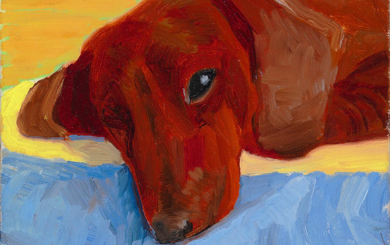 David Hockney's Dog Painting 30 - Richard Schmidt Collection The David Hockney Foundation