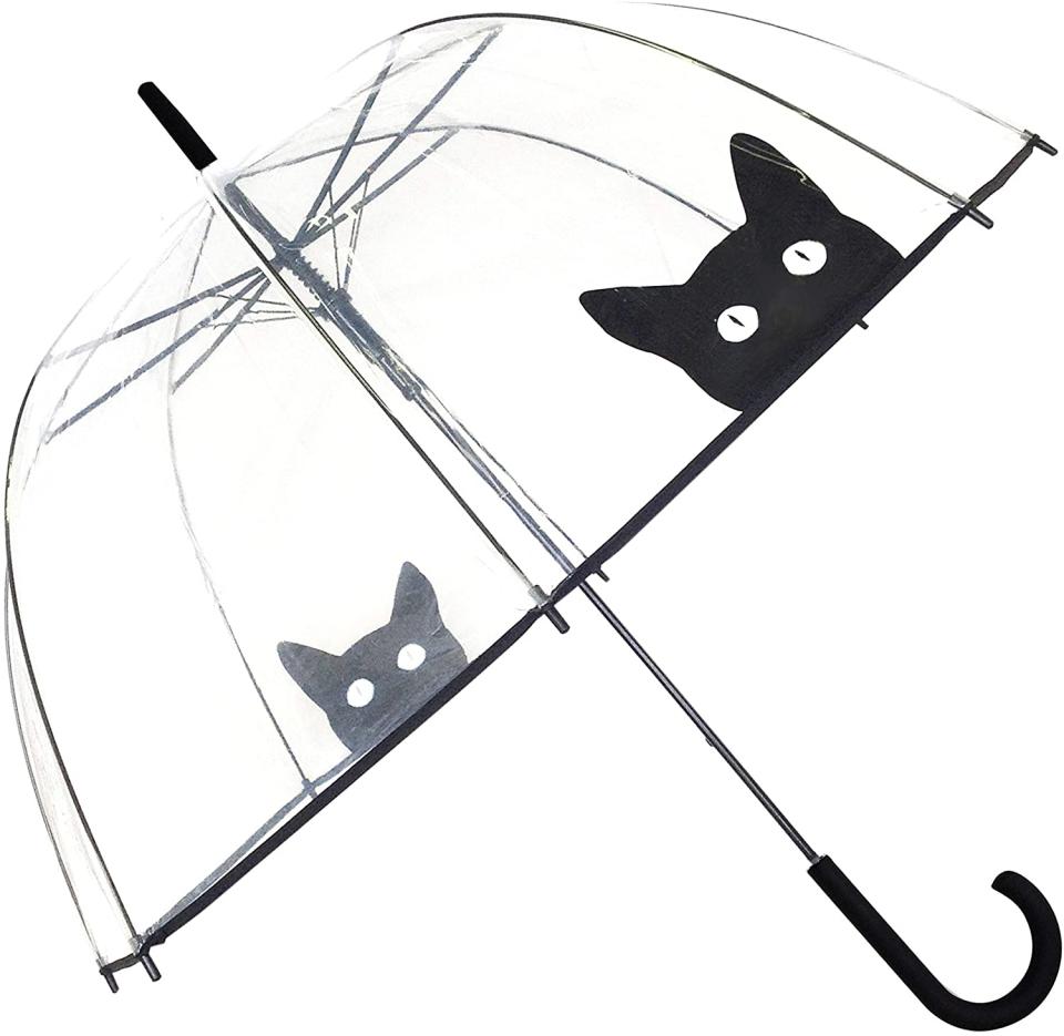 Clear Dome Umbrella with Cats. Image via Amazon.