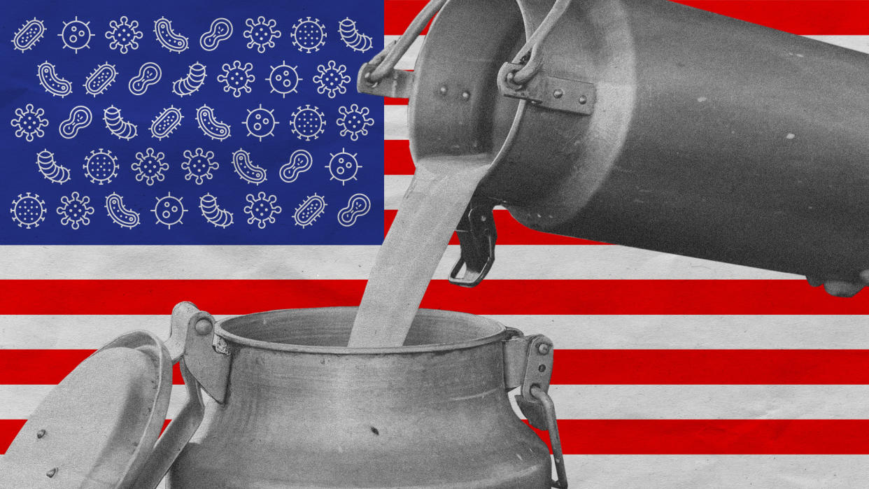  Photo collage of a can of milk being filled from a smaller milking can. In the background is the US flag with the field of stars replaced with icons of bacteria, parasites and pathogens. 