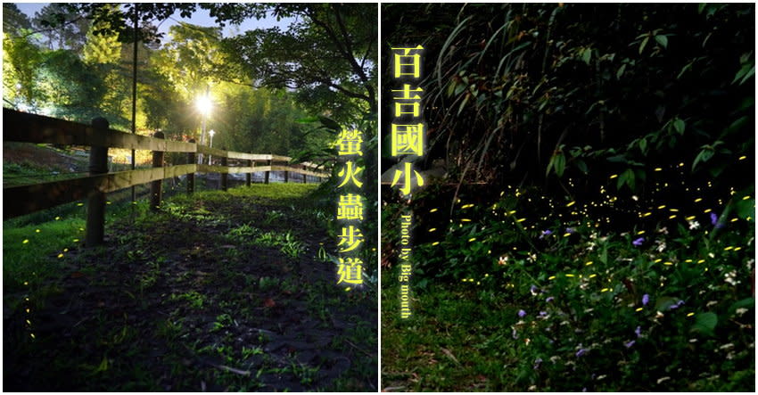 桃園｜百吉國小・湳子溝步道