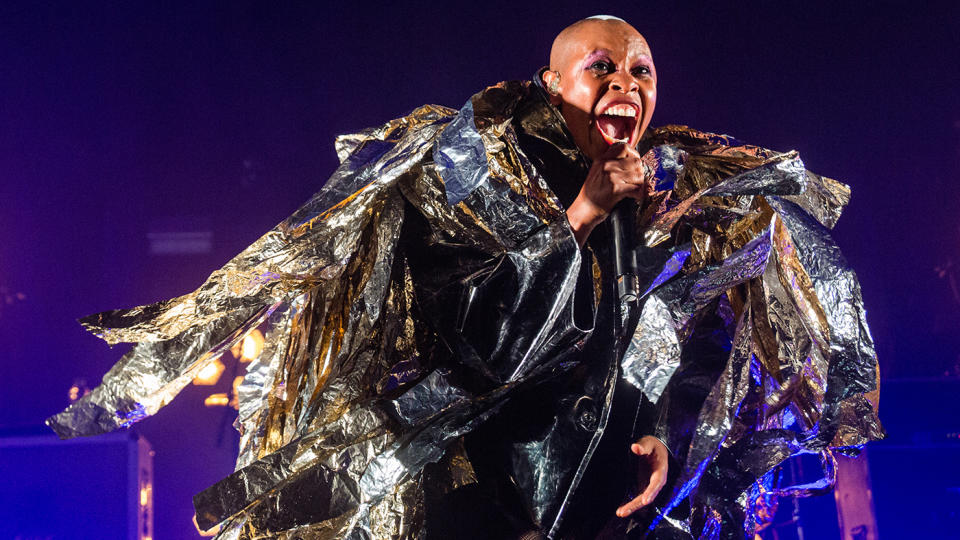 Skin revealed that a stinky animal, and not drugs, were the inspiration behind Skunk Anansie's name (Image: Getty)