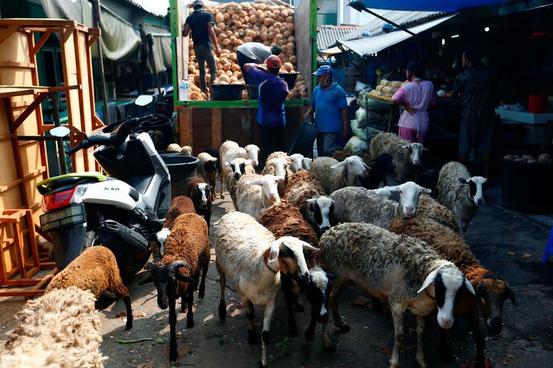 Sheeps are seen at a market ahead of the Eid al-Adha festival, as the coronavirus disease (COVID-19) outbreak continues in Jakarta