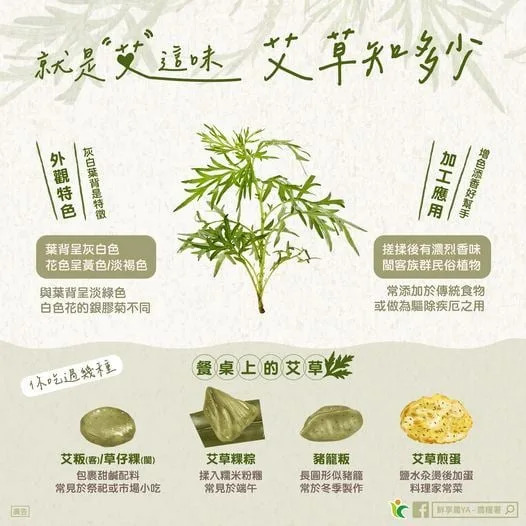 &#x004e0d;&#x0053ea;&#x007528;&#x004f86;&#x007aef;&#x005348;&#x00907f;&#x0090aa;&#x00ff01;&#x00827e;&#x008349;&#x00751f;&#x006d3b;&#x007528;&#x009014;&#x0066dd;&#x005149;&#x003000;&#x00300c;&#x00716e;&#x0098ef;&#x003001;&#x009a45;&#x00868a;&#x00300d;&#x0090fd;&#x00597d;&#x007528;