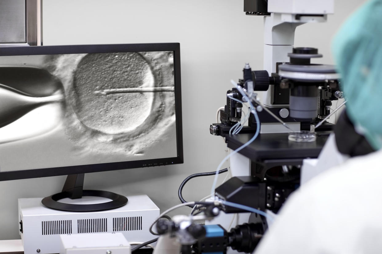 A researcher using a microscope fertilizes an egg.