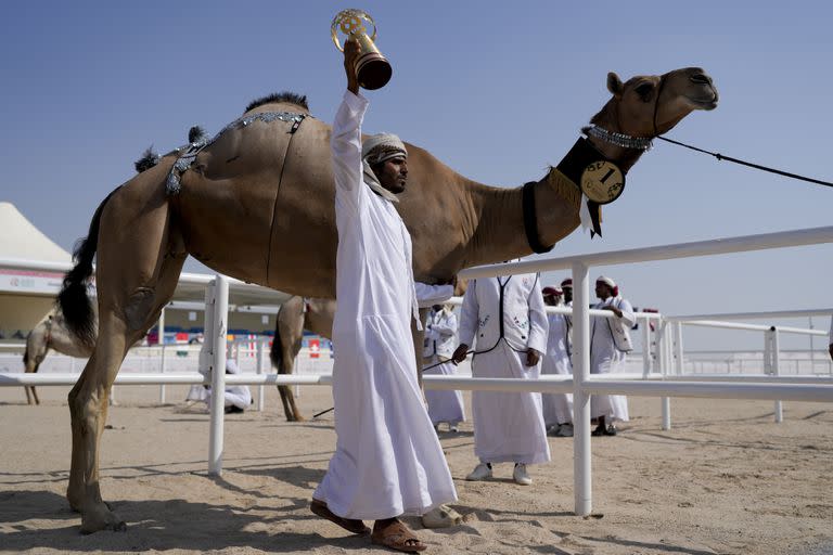 Un cuidador de camellos de la familia AlKuwari celebra tras ganar el primer premio de la Copa Mundial 
Mzayen, un concurso de camellos en el desierto de Qatar durante el Mundial de fútbol, en Ash- Shahaniyah, el viernes 2 de diciembre de 2022. 