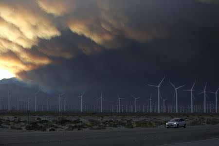 A smoke plume from the Lake Fire in the San Bernardino National Forest is seen at sunset, rising over a windmill farm from Palm Springs, California June 18, 2015. REUTERS/Sam Mircovich