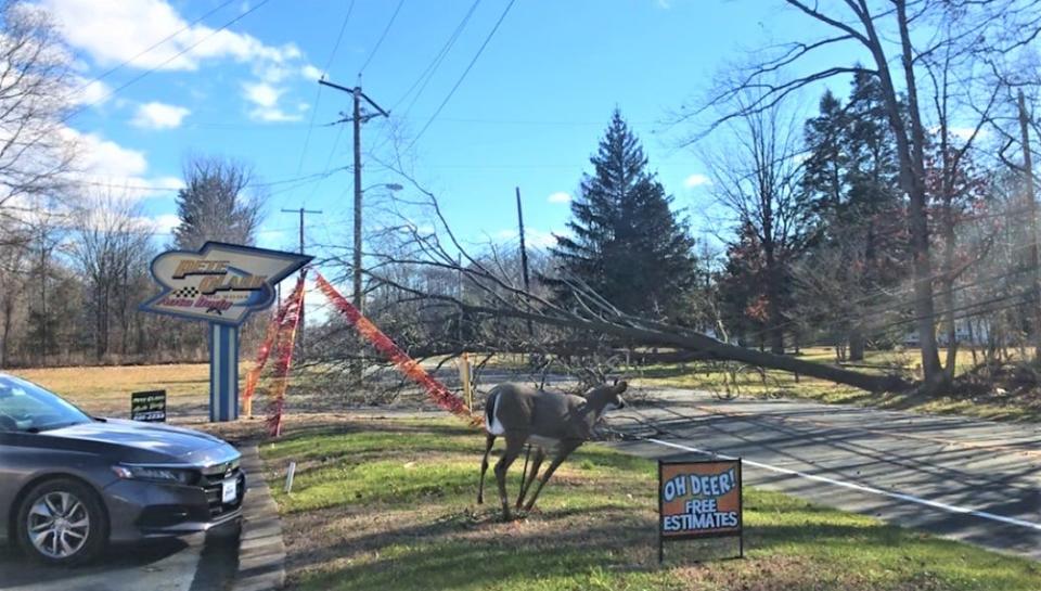 High winds downed a tree Tuesday night, bringing electric wires with it and blocking this stretch of Route 322 (East High St.) in Glassboro. PHOTO: Jan. 10, 2024.