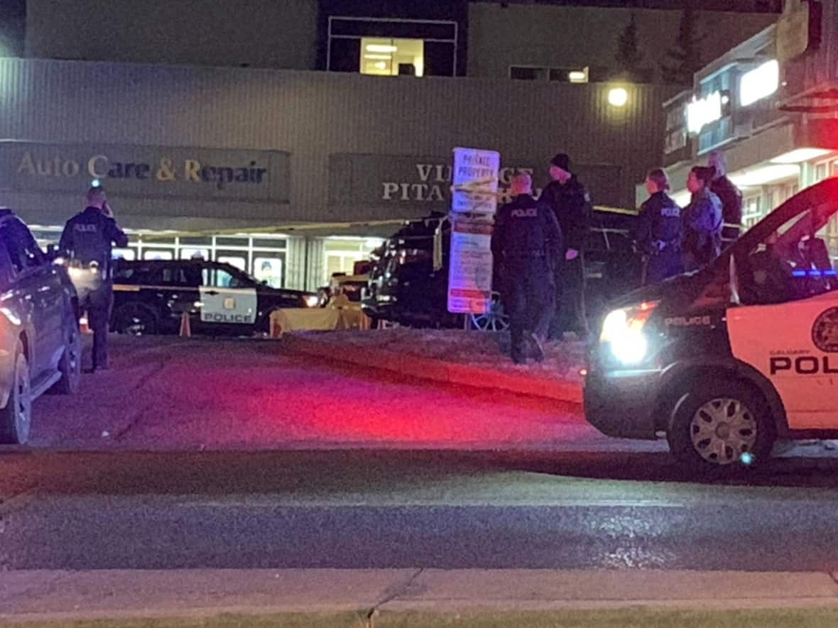 Police were on scene at the 200 block of 28th Street S.E.  just after 7 p.m on Nov. 22 where a man was declared dead at the scene. (Mike Symington/CBC - image credit)