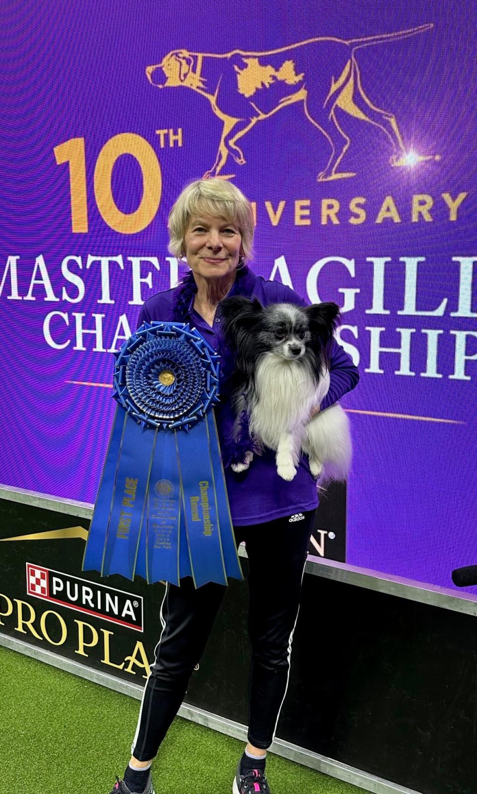 Portsmouth resident Carol Kelly and her champion papillon Purchase at the Westminster Kennel Club dog show in New York Saturday, May 6, 2023.