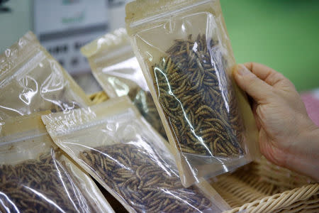 Packaged edible mealworms are seen in Seoul, South Korea, August 8, 2016. Picture taken August 8, 2016. REUTERS/Kim Hong-Ji