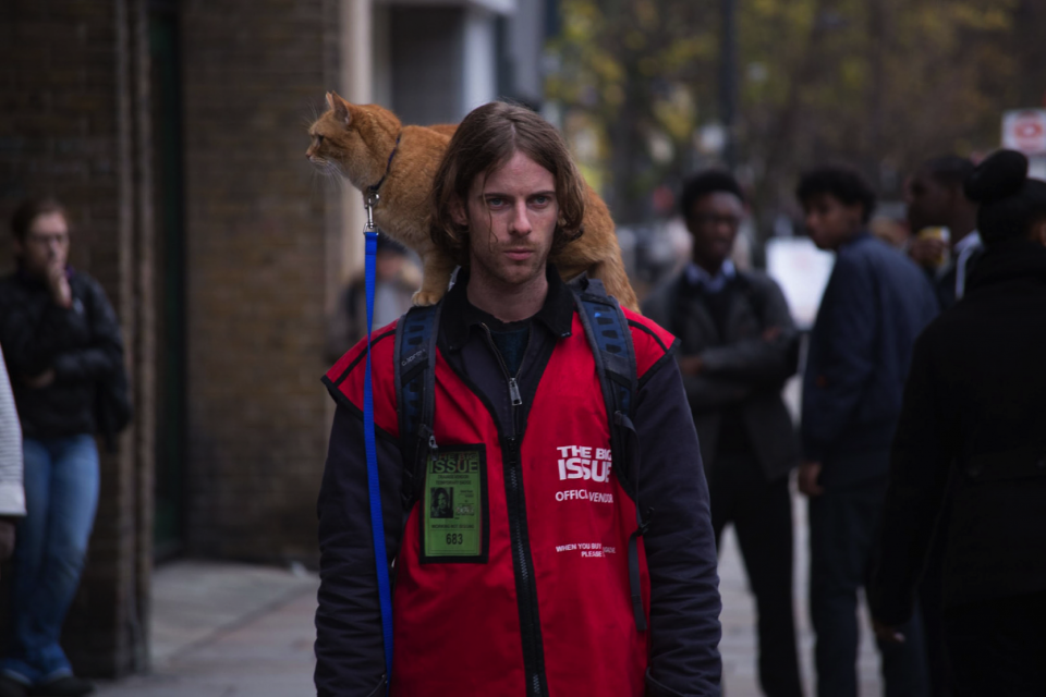 A Street Cat Named Bob (Shaw Organisation)