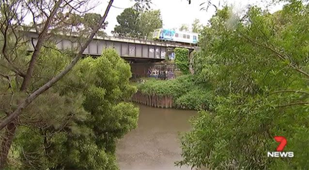 The 10 metre jump into the Yarra River. Source: 7News