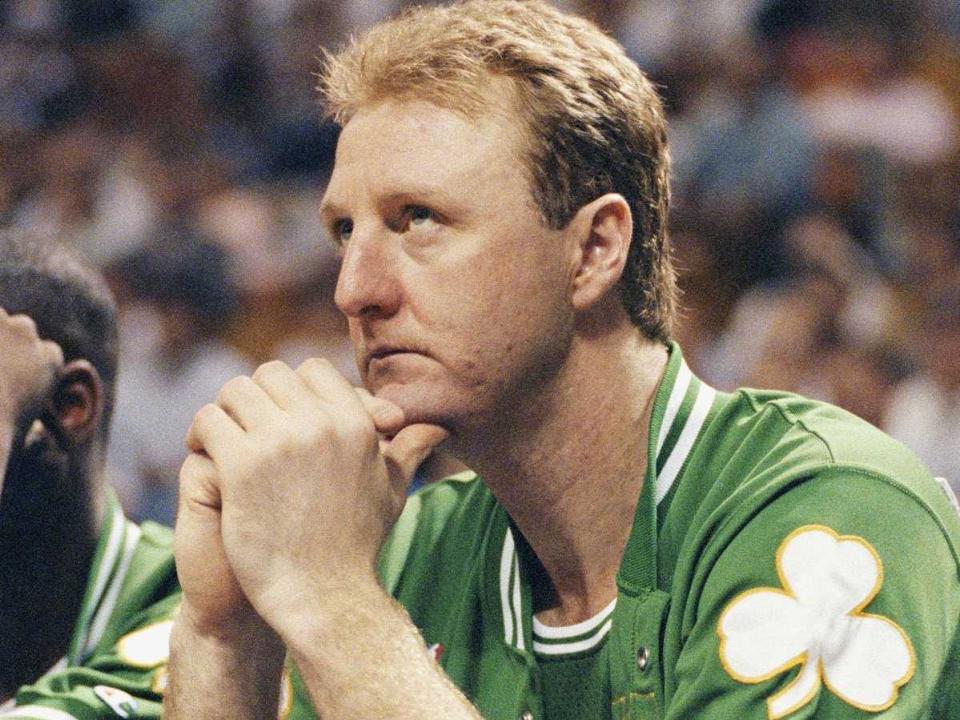 larry bird celtics