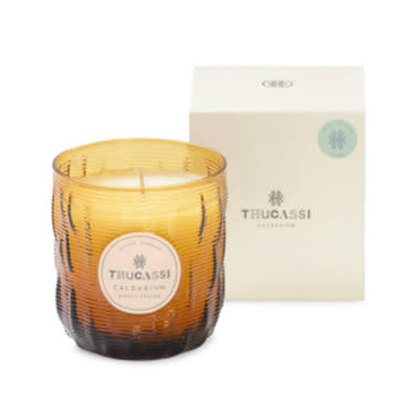 thucassi spring candle, saks friends and family sale