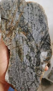 Victory: Porphyry Style Mineralization in Outcrop Samples