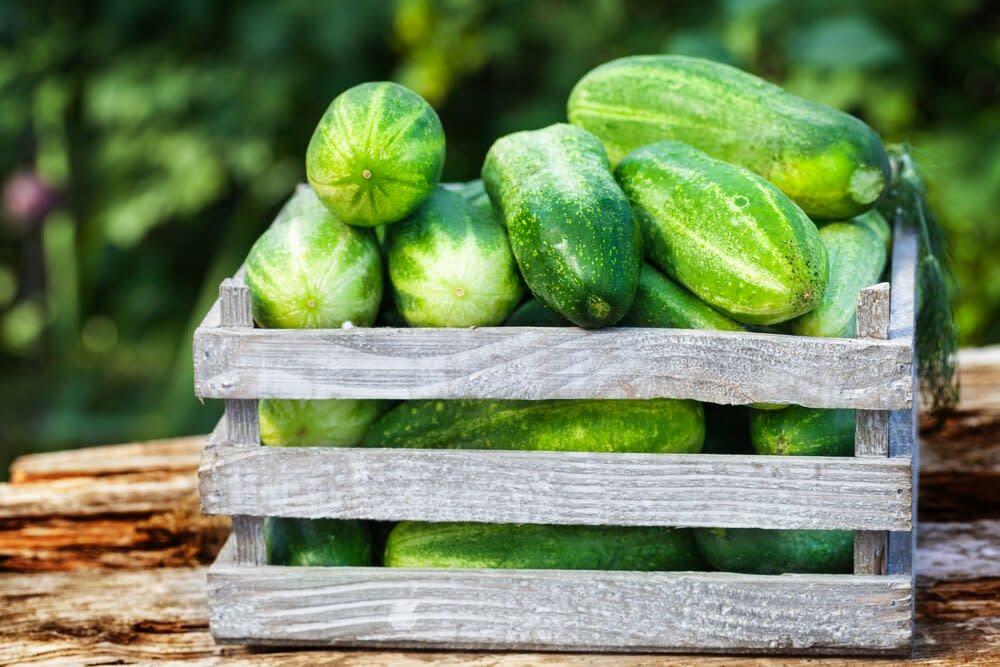 Wooden crate of cucumbers outside