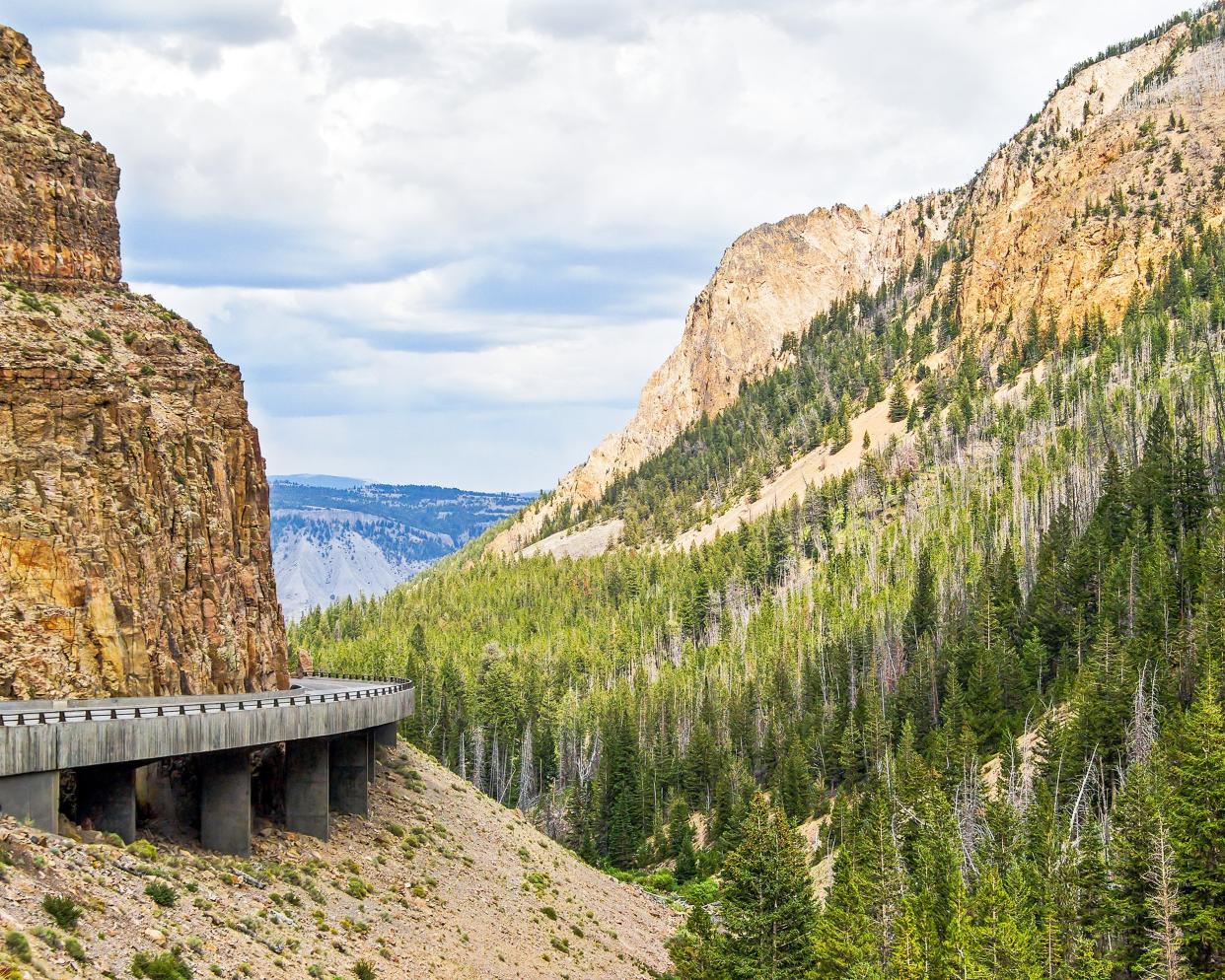 Grand Loop Road