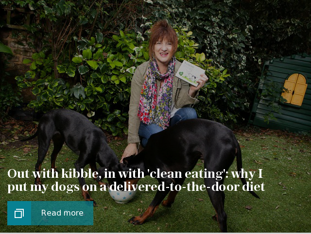 Out with kibble, in with 'clean eating': why I put my dogs on a delivered-to-the-door diet