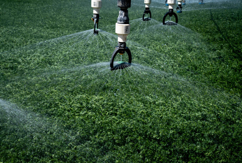 Ground water is used to irrigate an alfalfa field, April 7, 2022, at Fondomonte's Butler Valley Ranch near Bouse.