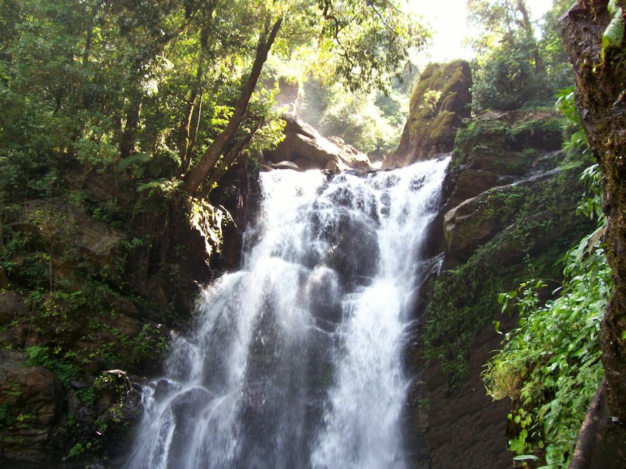 Hanumana Gundi Falls in Kudremukh national park, Karnataka.