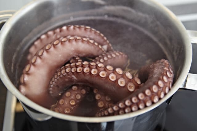 Germany, Cologne, Octopus in cooking pot, close up