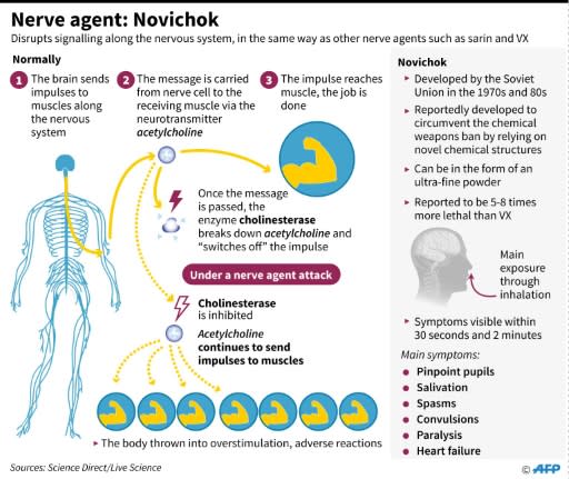 Factfile on the Soviet-era nerve agent Novichok