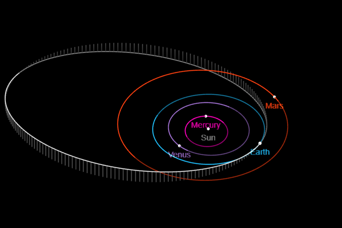 The 2024 ON asteroid last came close to Earth in 2013 (Nasa)