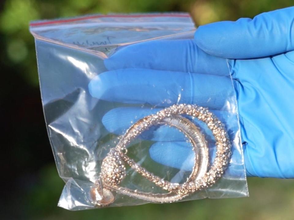 Detectives allegedly seized stolen jewellery.