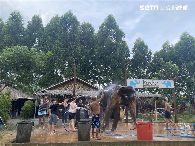 普吉島大象體驗營可以幫大象洗澡。（圖／記者楊晏琳攝影）
