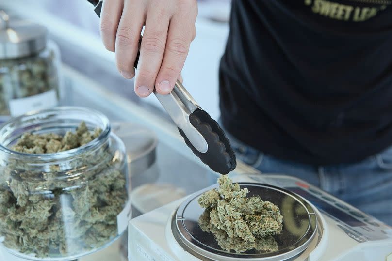 A dispensary worker weighs cannabis for sale