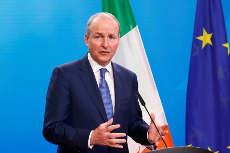 Irish foreign minister Micheal Martin said recognition of Palestinian statehood would come this month (MICHELE TANTUSSI)